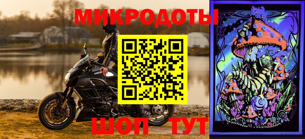Галлюциногенные грибы Psilocybe Брянск